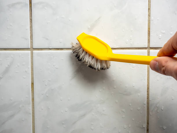 Best Home Mold Removal  in Yazoo City, MS