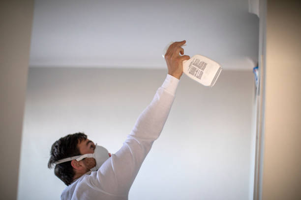 Best Commercial Mold Removal  in Yazoo City, MS