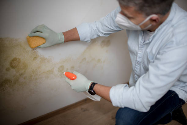 Water Damage Restoration in Yazoo City, MS
