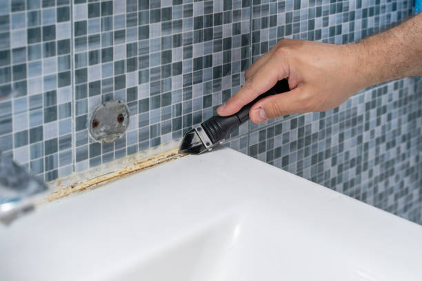 Best Fast Mold Removal  in Yazoo City, MS